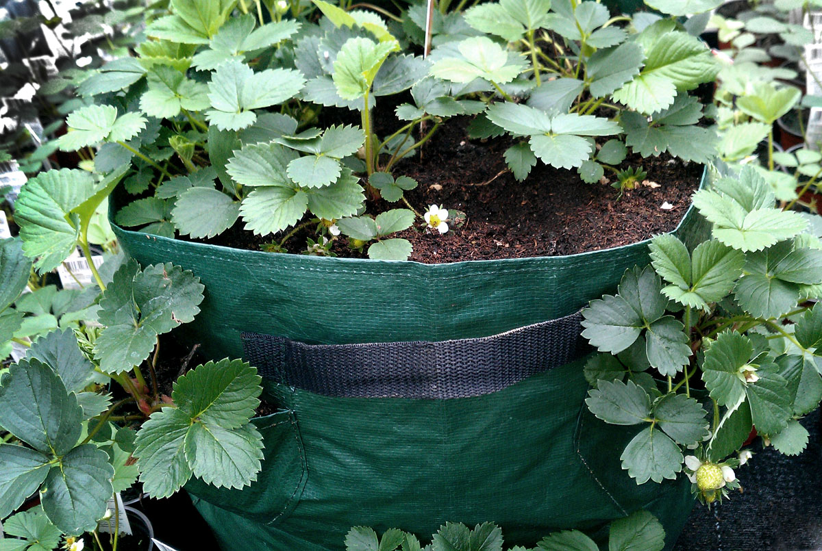Erdbeer Pflanzbeutel Kartoffel Pflanzsack Gartenpflanzung Gemüse Pflanzer Tasche 