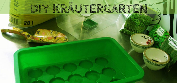 DIY Kräutergarten anlegen im Zimmergewächshaus