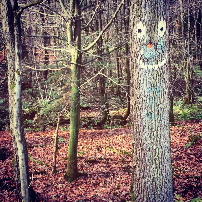 Können Bäume lächeln?