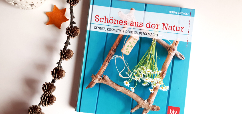Buch Schönes aus der Natur DIY Meisenknödel