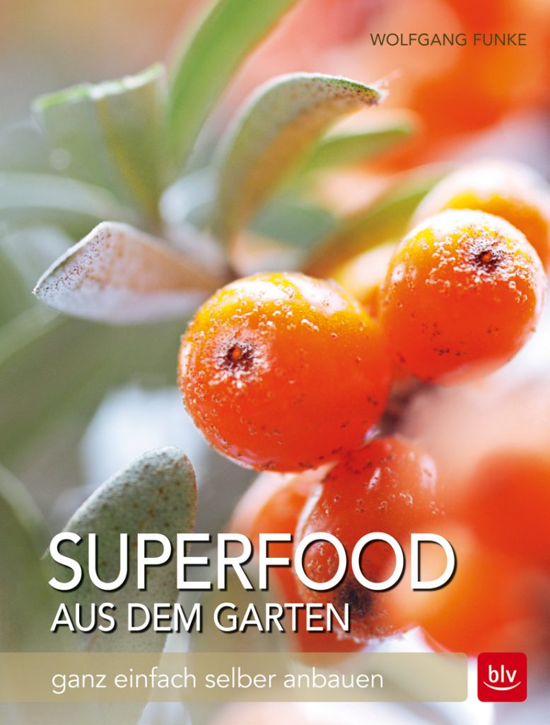 Superfood aus dem Garten 