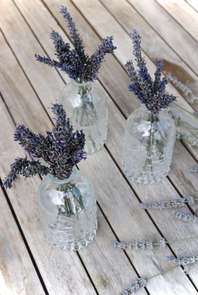 Sommerblumen Lavendel in der Vase
