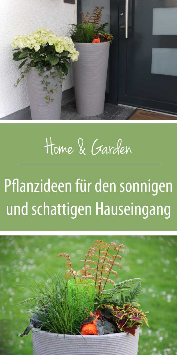 Willkommen zu Hause! Pflanzideen für den schattigen und sonnigen Hauseingang mit Scheurich