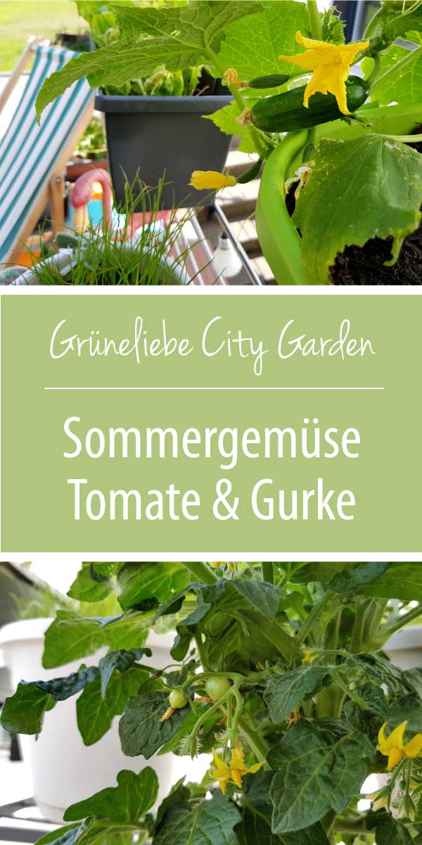 Sommergemüse Tomate und Gurke auf dem Balkon Grüneliebe City Garden mit EMSA