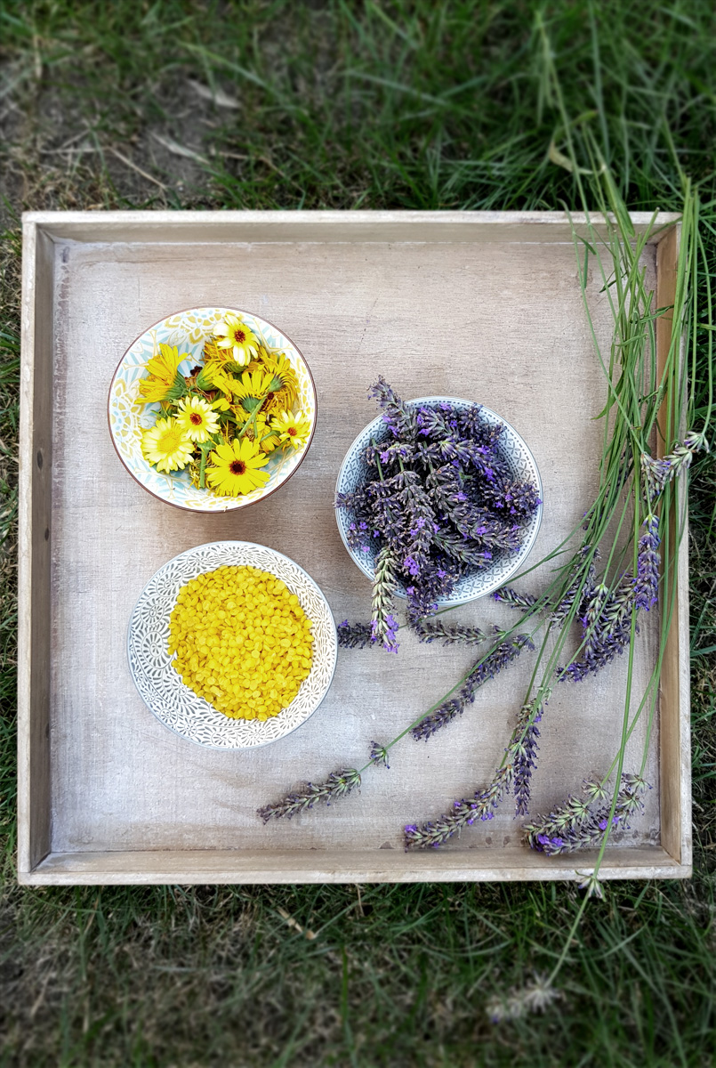 Ringelblumen-Lavendel-Salbe für Gärtnerhände |Ringelblumensalbe selbstgemacht