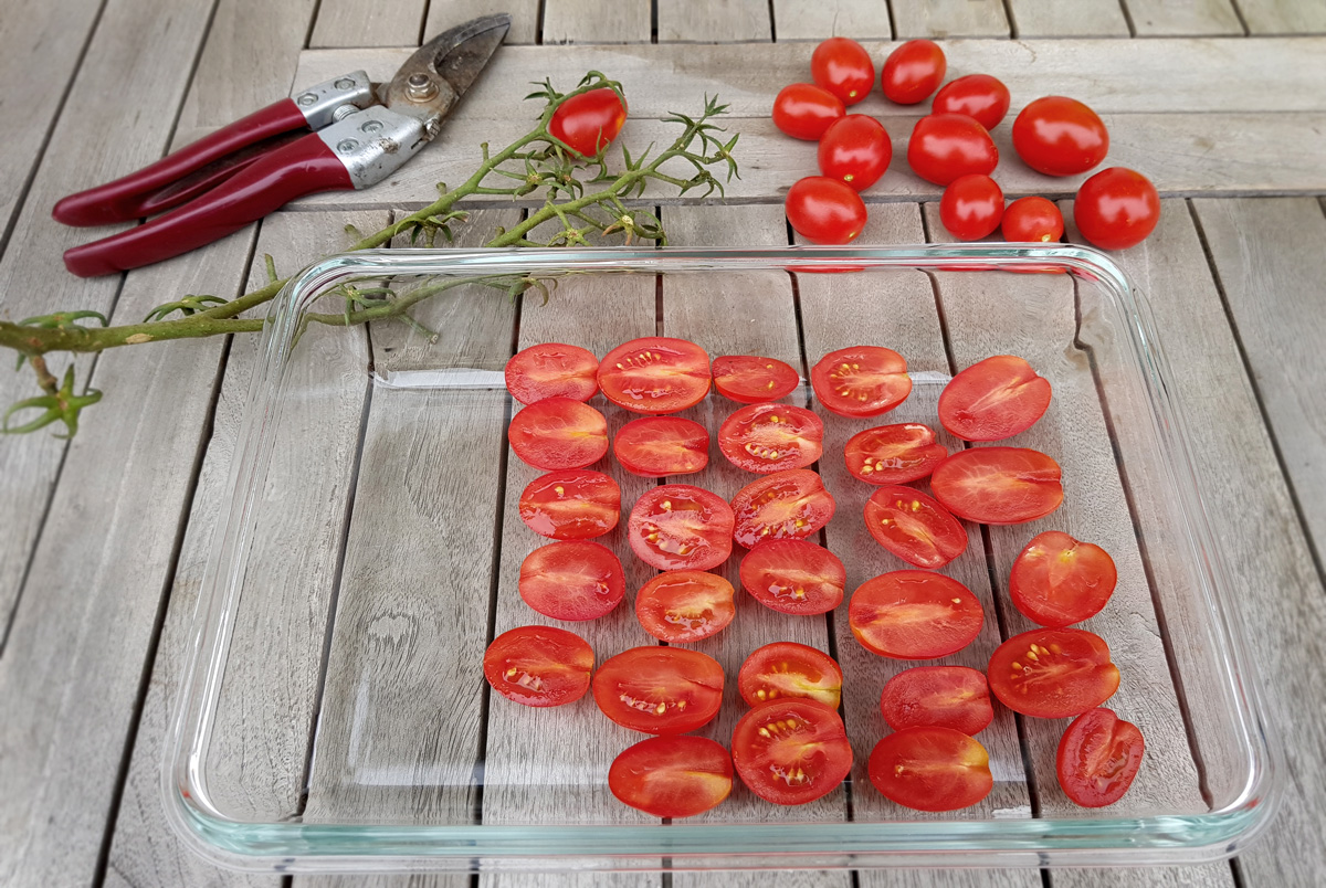 Getrocknete Tomaten vom Balkon Grüneliebe City Garden