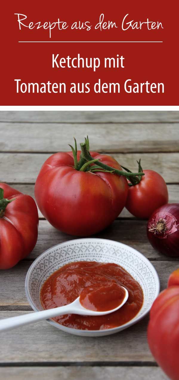 Tomaten Ketchup selber machen - Tomaten aus dem Garten