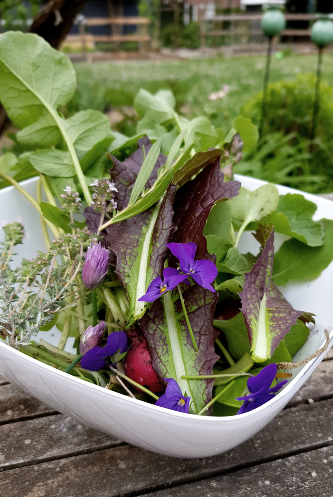 Zutaten aus dem Garten für Spargelsalat