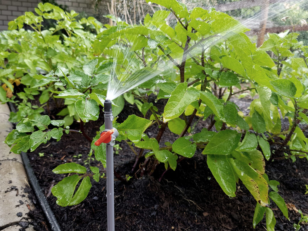 Bewässerung im Gemüsegarten - Micro Drip