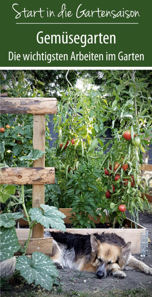 Gemüsegarten - Die wichtigsten Arbeiten im Garten