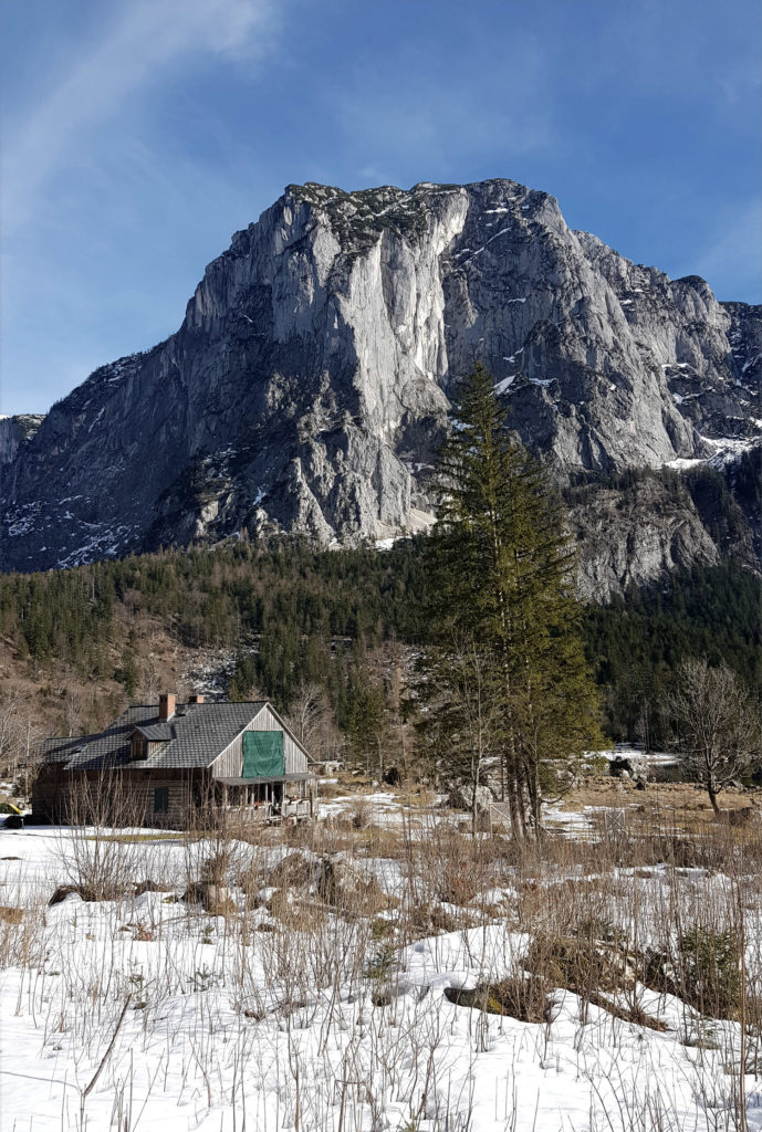 Altausseer See - Wanderweg mit Hund - Steiermark Österreich - James Bond Specter Drehort