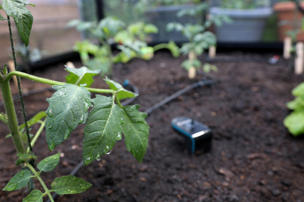 Bodenfeuchtigkeit messen für effiziente Bewässerung mit smart Sensor GARDENA