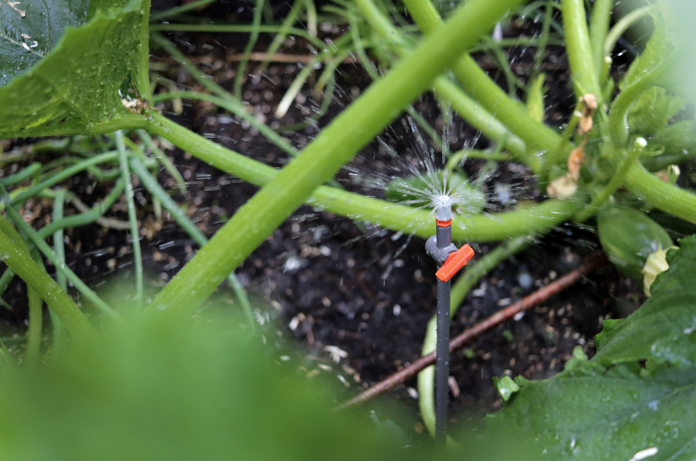 Automatische Hochbeetbewässerung Gardena MicroDrip System