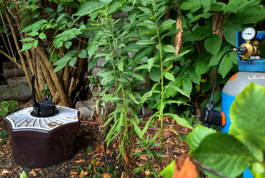 Biogents Mückenfalle für unbeschwerte Gartenzeit ohne Mücken