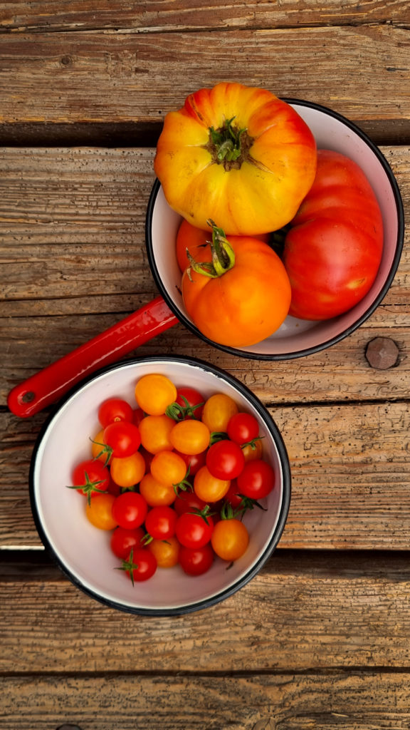 Bunte Tomaten für Tomatentarte