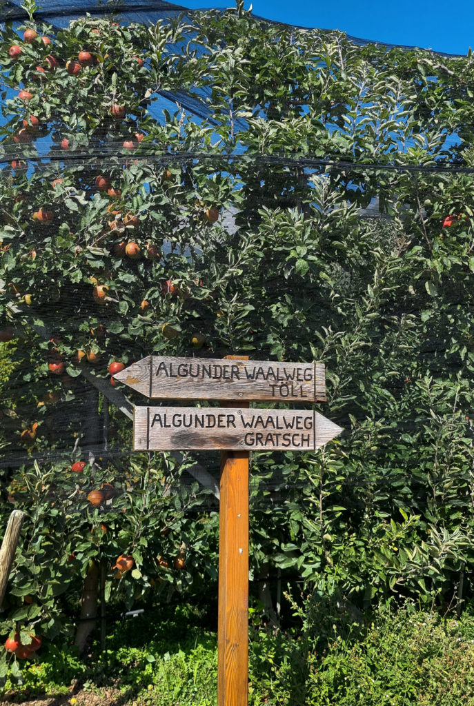 Algunder Waalweg bei Meran, Südtirol - Reisebericht Meraner Land