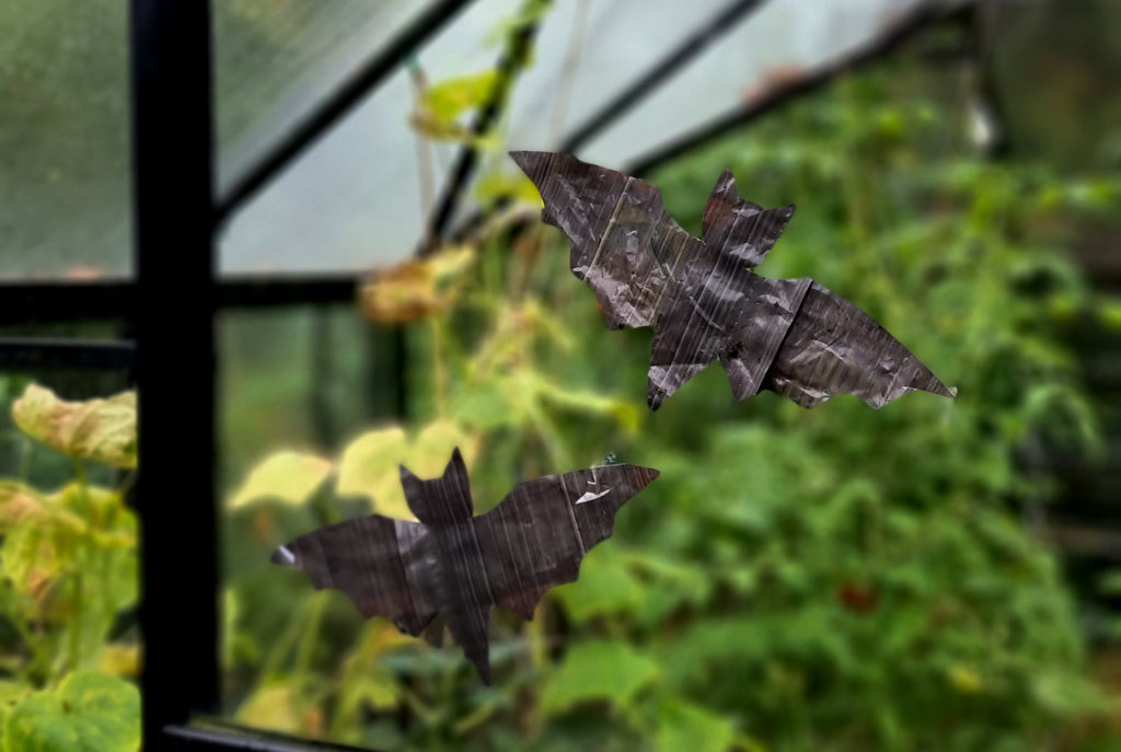 Schnelles Gewächshaus Halloween DIY - Upcycling Dekoidee Halloween Fledermäuse für die Fensterscheiben